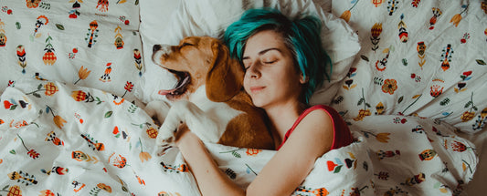 Quais os benefícios e riscos de dormir com animais de estimação?
