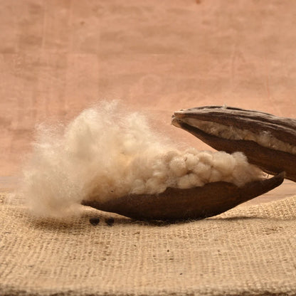 Pack 2 Almofadas Kapok Hikari