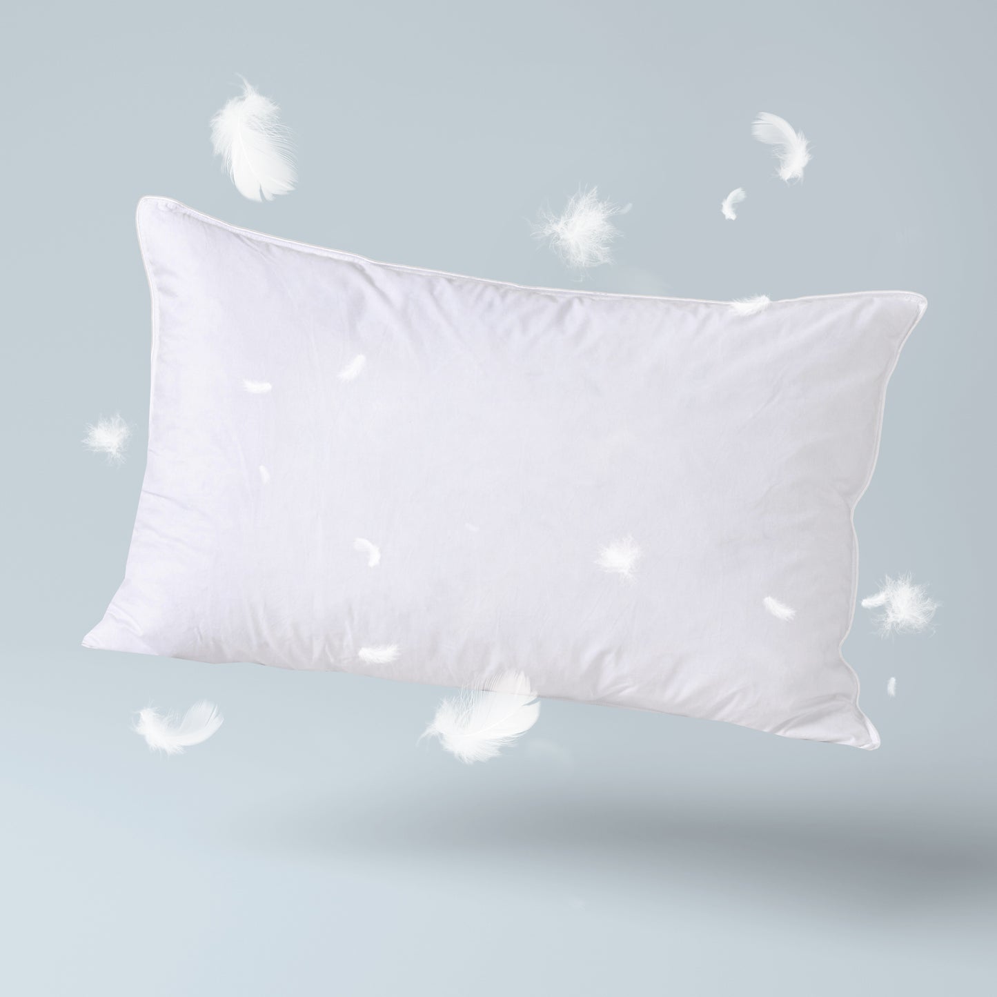 Shiro Pillow